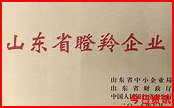 东莞旅游团报名在哪里